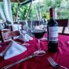 Los Haitises National Park + Lunch at Caño Hondo from Samaná Port. — изображение 18