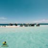 Paradise Island & The Mangroves, Snorkeling (Cayo Arena) Day Pass. Half Day Trip. - 图片 7