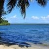 Los Haitises National Park - From Sabana de la Mar or Caño Hondo Hotel. — изображение 11