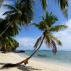 Hiking Boca del Diablo ‘Mouth of the Devil’,  to Fronton Beach, Samana day trip. — изображение 14