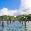 Los Haitises Tour from Santo Domingo, Samana or Sabana de la mar. Full Day Trip. — изображение 3