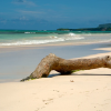 Playa Rincón (Rincon Beach), Half - Day Trip, Samaná - Dominican Republic. - Image 13