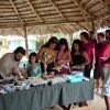 Cayo Levantado & Kayaking + Snorkeling - 图片 7
