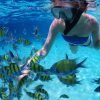 Snorkel Cayo Levantado and Farola island Snorkeling - imagine 12
