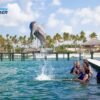 Punta Cana Dolphin Swim Adventure: 40-min Dolphin Experience - Image 5