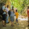 3in1: Los Haitises N P + Yanigua Waterfall + Montaña Redonda - 图片 36