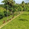 Punta Cana: Xploration Animal Park Bus Tour with Encounters - Image 11