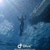 Bayahibe: Snorkeling Tour - Sea, Cotubanama park & Cenotes - imagine 8